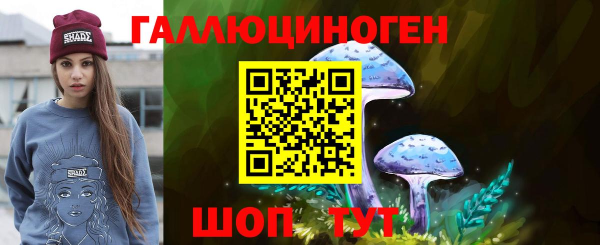 Галлюциногенные грибы Psilocybine cubensis Прокопьевск